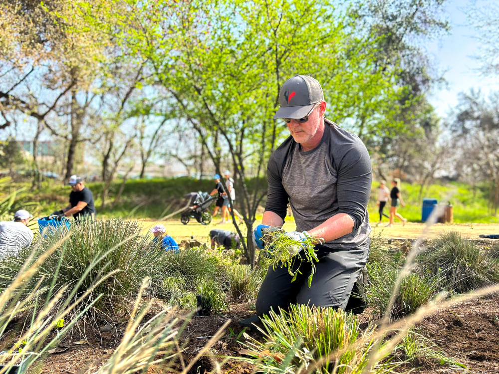Man kneeling on the ground, removing a plant from a plastic pot to plant into the ground at a park.