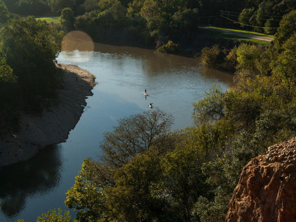 View of people Paddle boarding on the Colorado River from a Cliff in Bastrop Texas