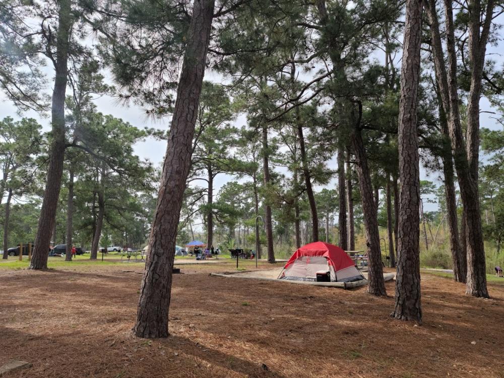 A tent between some trees at a campground.