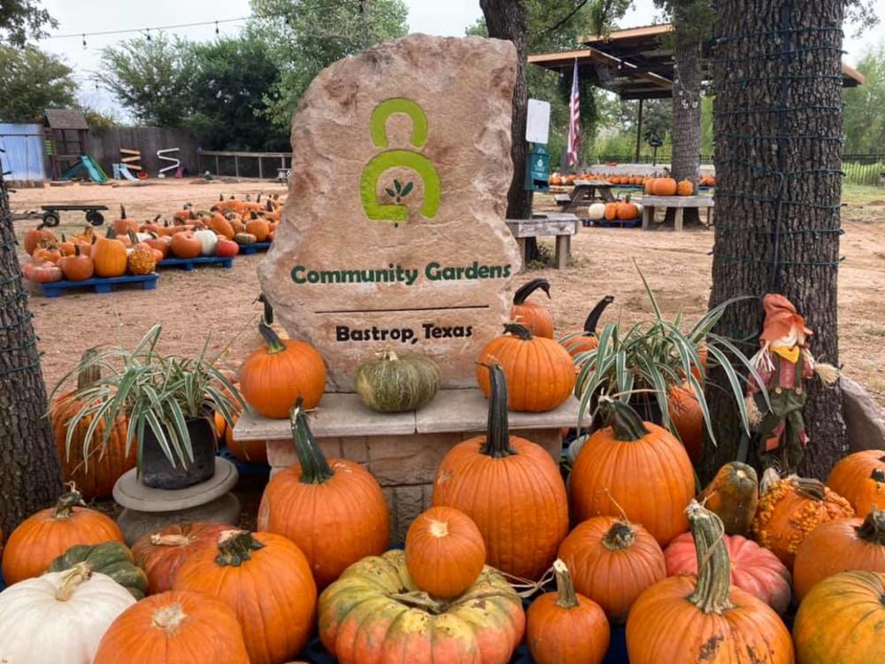 Pumpkin Patch Community Gardens