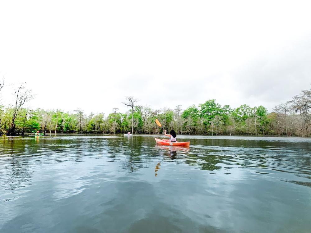 Kayaking Big Thicket