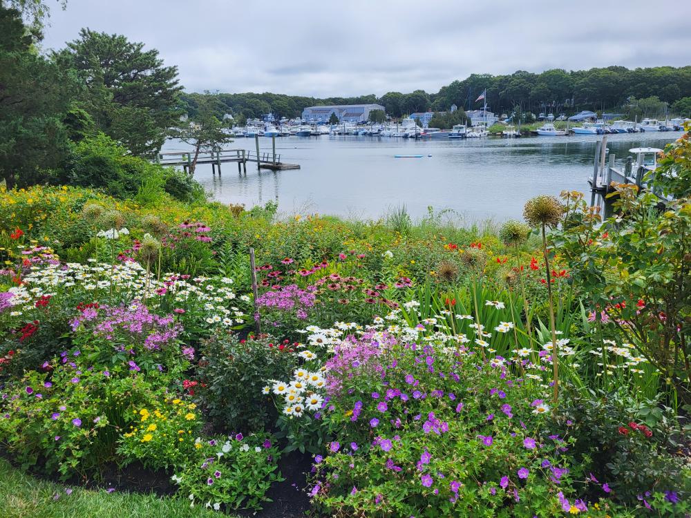 Hydrangea Fest