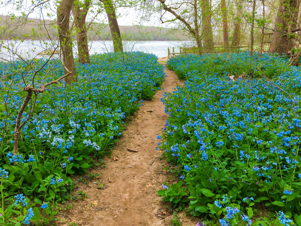 Riverbend Regional Park