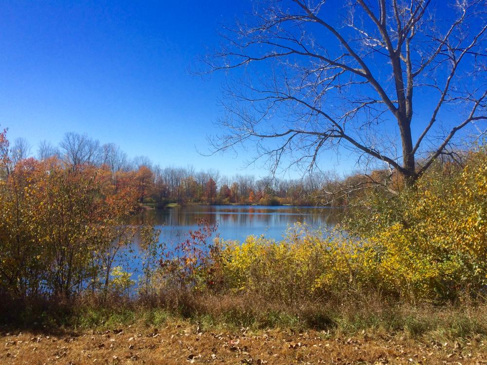 Bowman Lake at Fox Island in Autumn