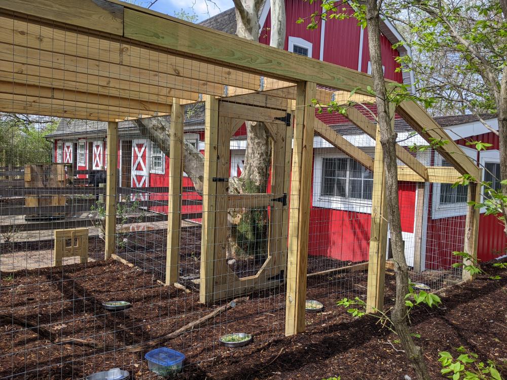 Fort Wayne Childrens Zoo Chicken Feeding Area