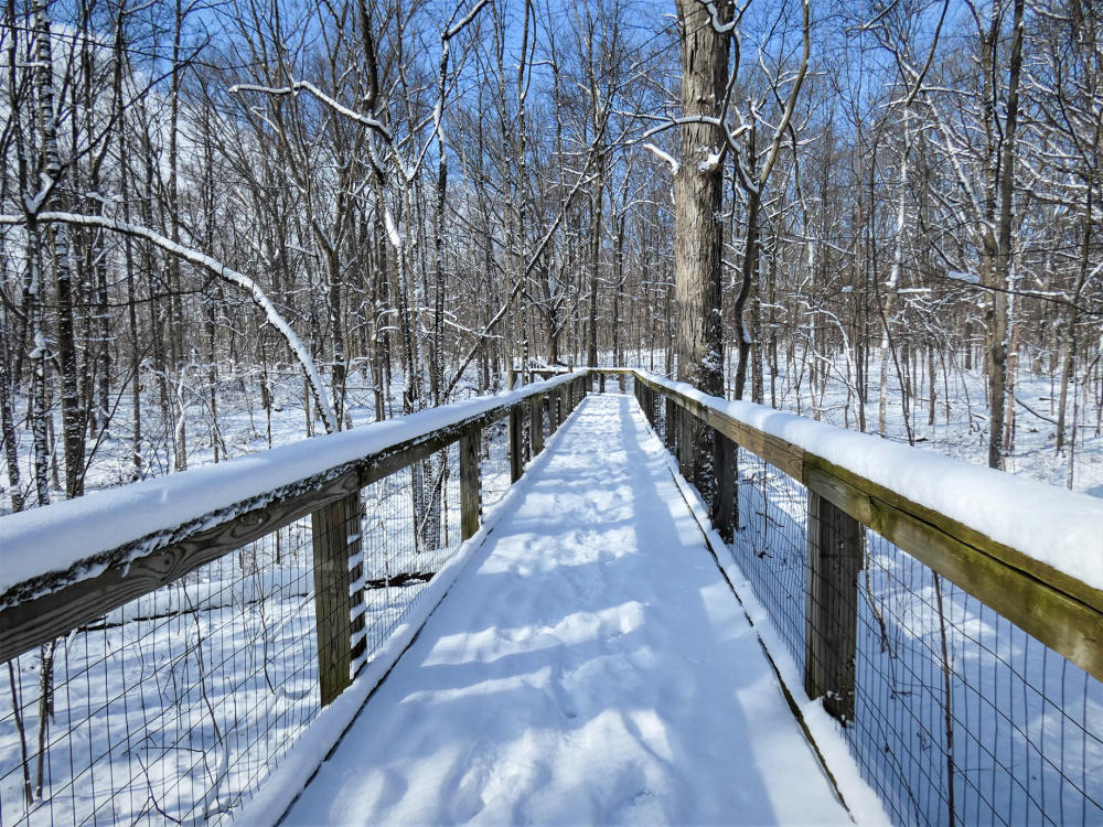 Snow covered Trail of Reflection at Lindenwood Nature Preserve in Fort Wayne