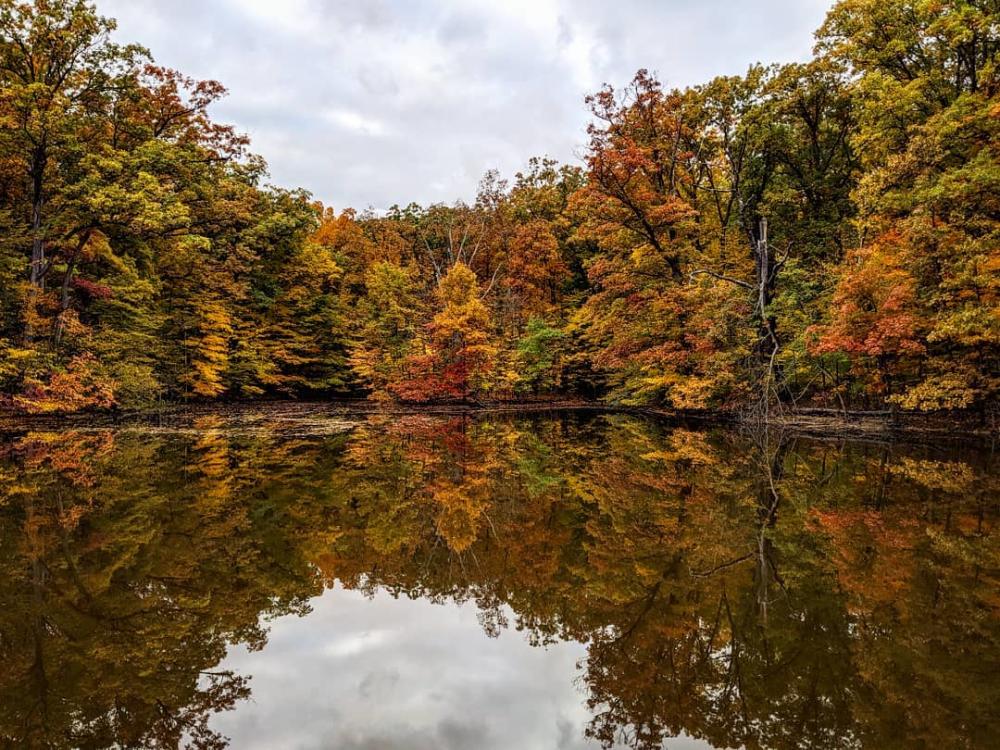 Fall trees reflected off the water at Lindenwood Nature Preserve in Fort Wayne