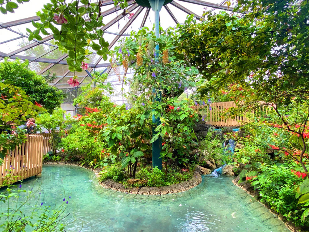 Butterfly World