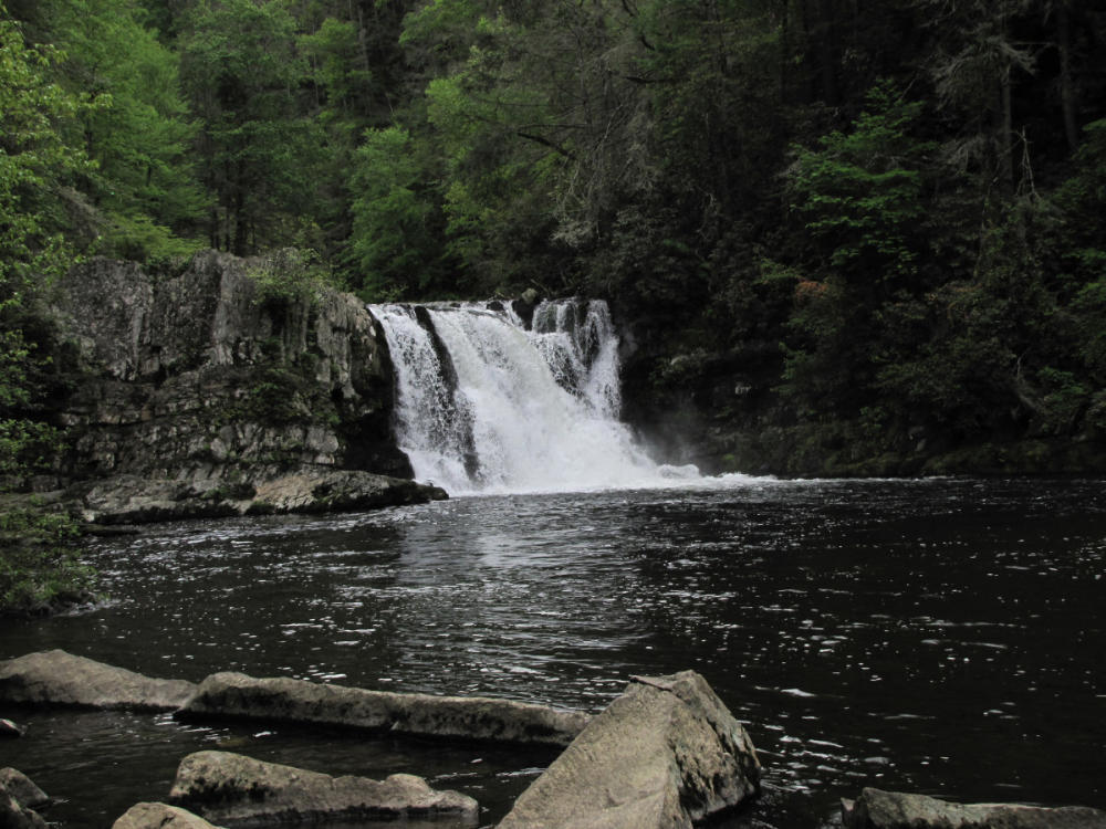 Abrams Falls