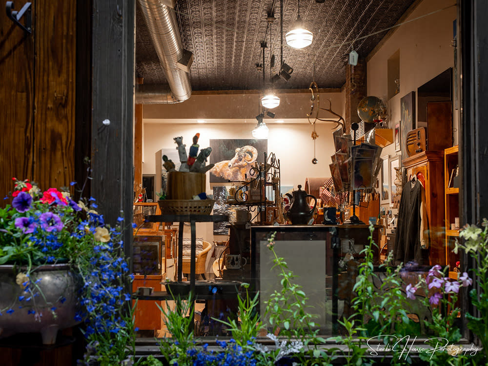 The Bowerbird's Den - Granby Colorado 3