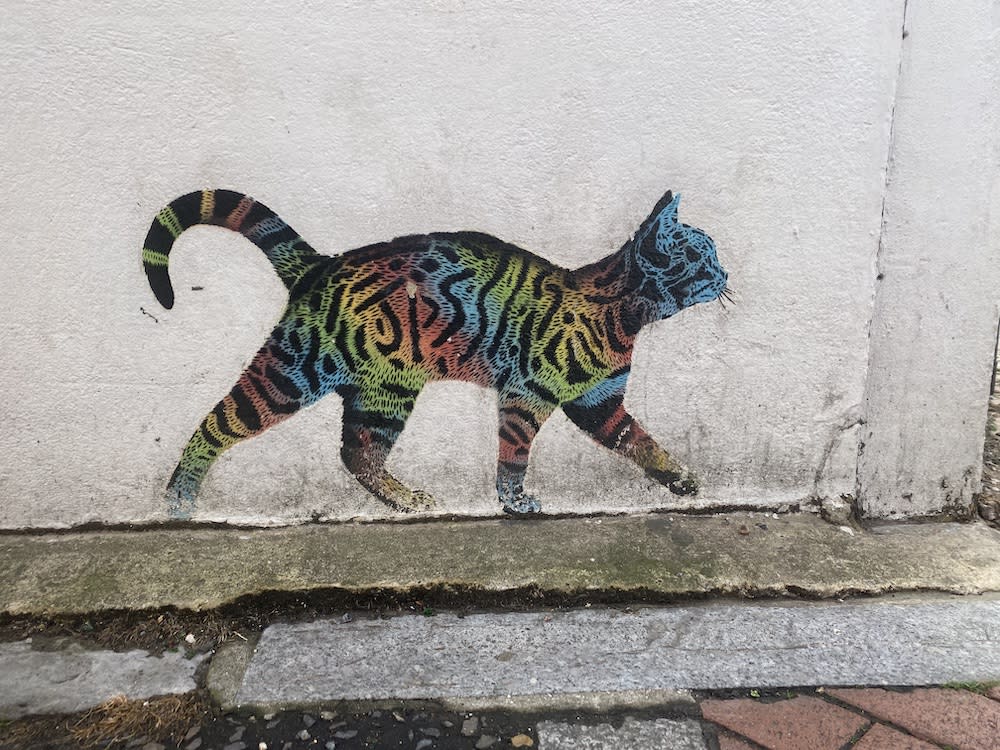 Multi-Coloured Cat Street Art, Chichester