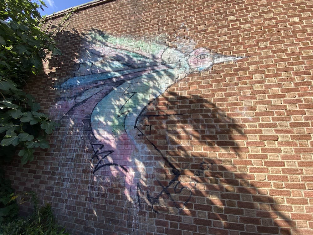 Humming Bird Chichester Street Art