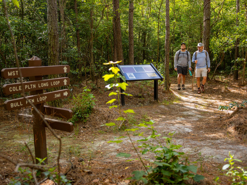 Two hikers walking the Bull Pen trail at Bentonville Battlefield.