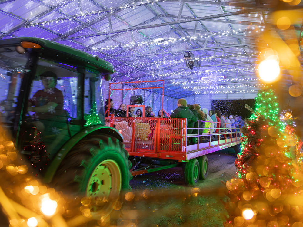 Tractor ride through the lights at Boyette Farm's Lights on the Neuse