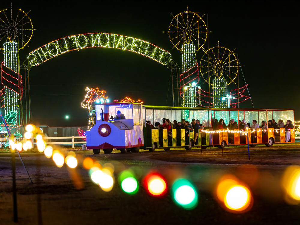 A lit up sign reading "Celebration of Lights" surrounded by tall lit candle lights and a train of people making their way past the display at Meadow Lights.