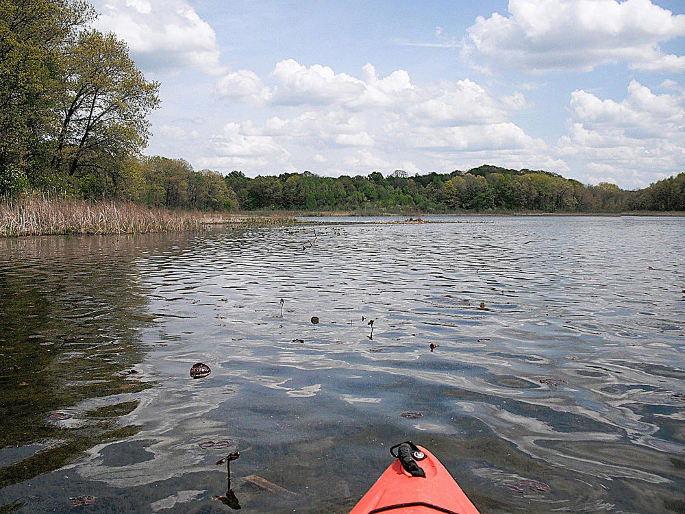 Whitford and Lawler Lakes offer two different lakes connected to each other. These lakes have a tranquil environment, boasting reeds and water grass on the banks.