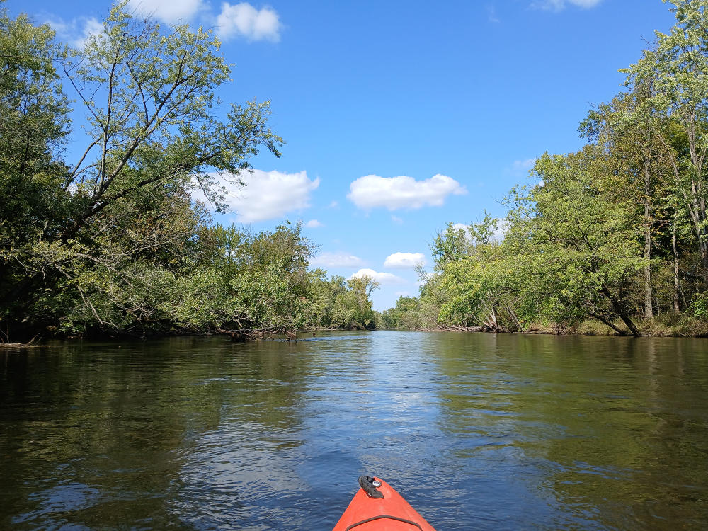 The Kalamazoo River is a long stretch of water that is kayakable. The water offers beautiful scenery with many trees on the banks of the river.