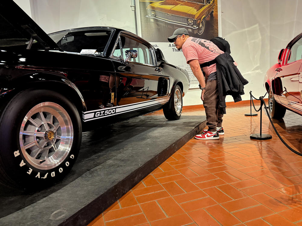 A man looks into a vehicle at the Gilmore Car Museum.