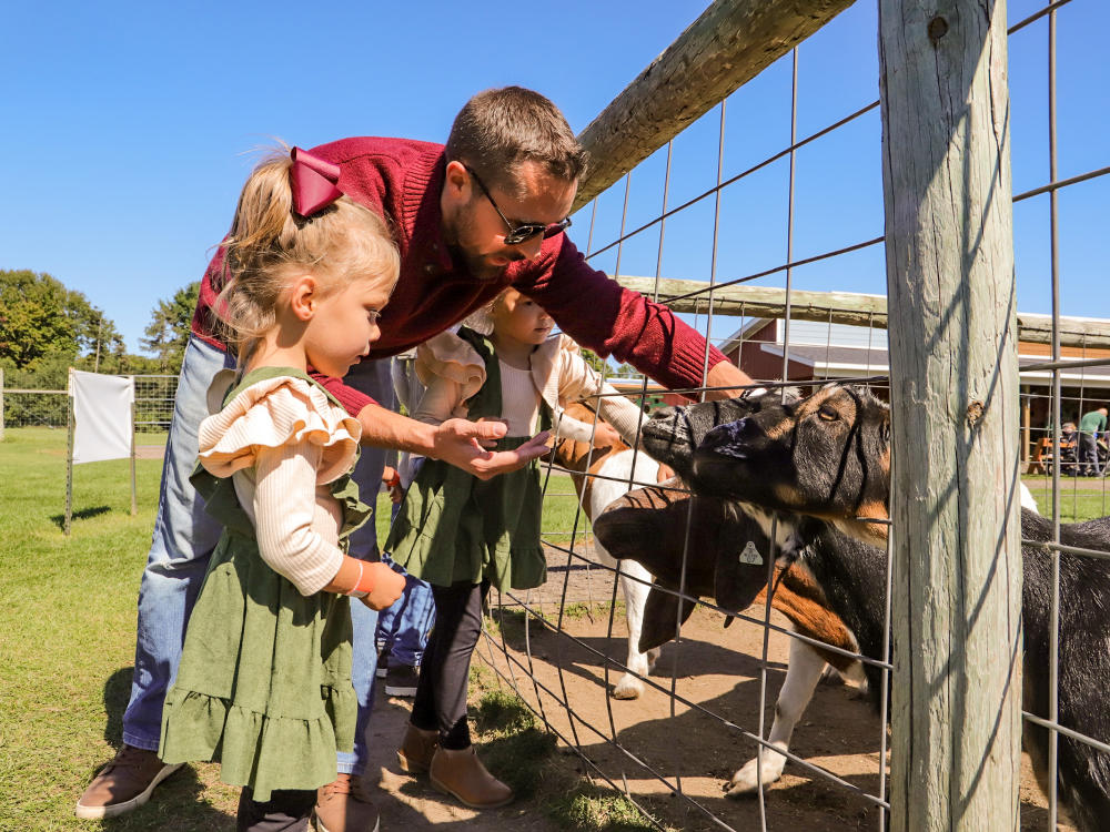 A man pets a goat as his daughter feeds the goat at Gull Meadow Farms.