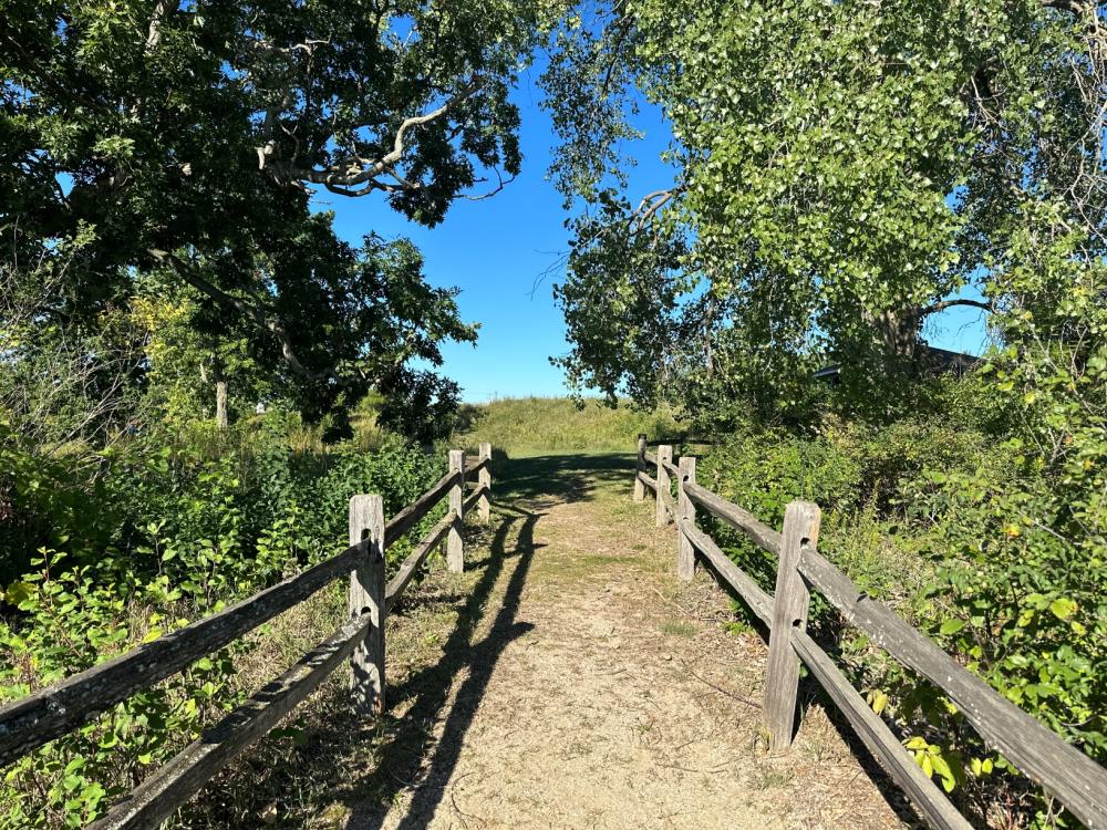 Trail at the Four Seasons Nature Preserve