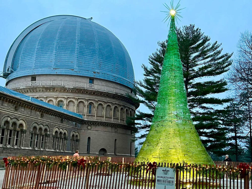 The Glass Tree in front of Yerkes Observatory