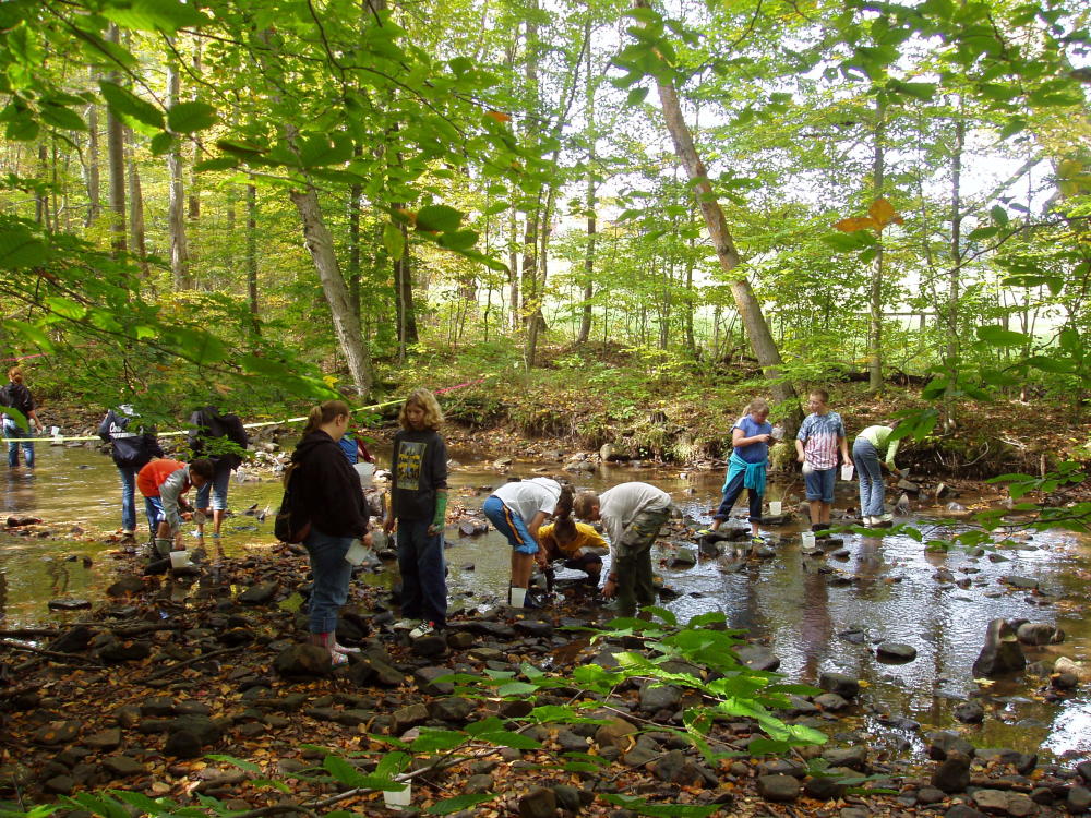 Powdermill_Nature_Reserve