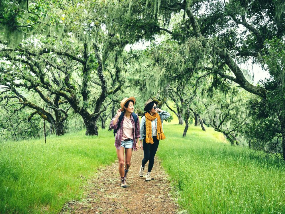 Hiking in Napa Valley