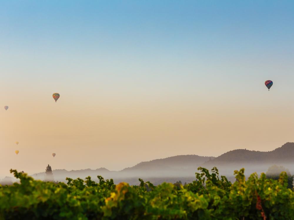 Napa Valley Emma K. Morris
