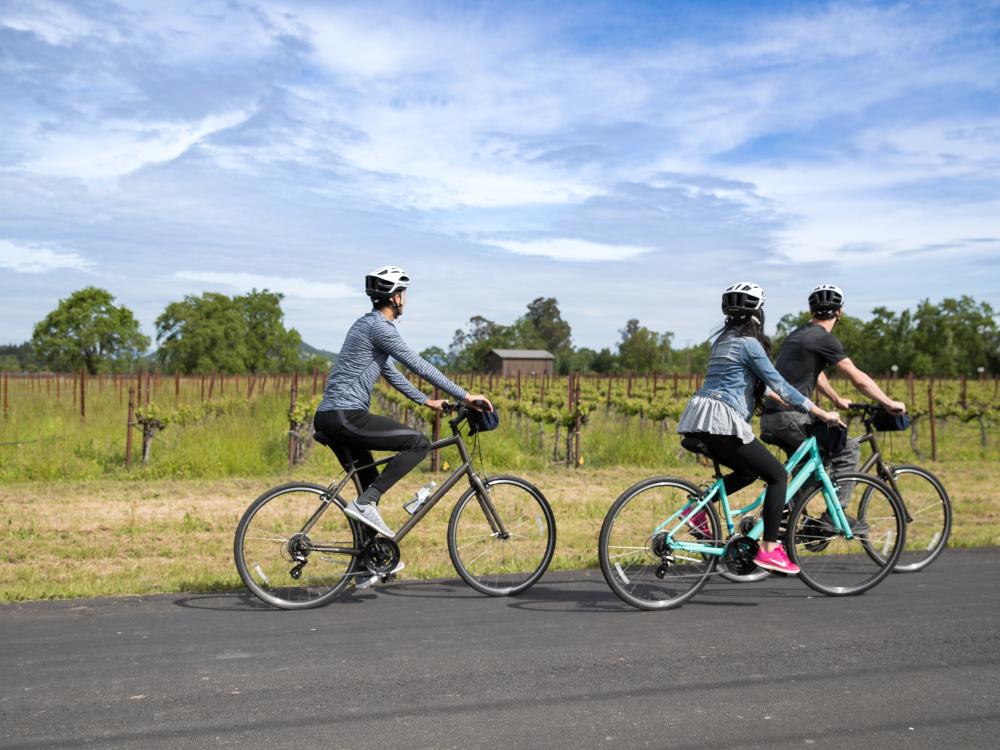 A small group enjoys the Napa Valley scenery as they ride their bicycles down a road.