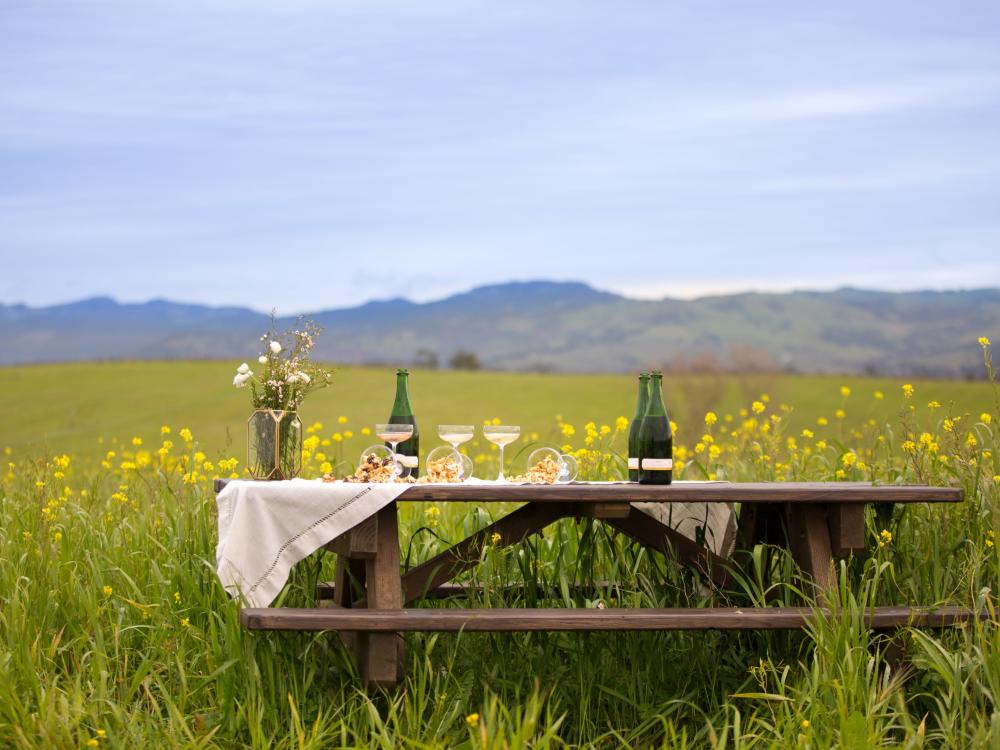 Five Unique Winery Experiences in Napa Valley