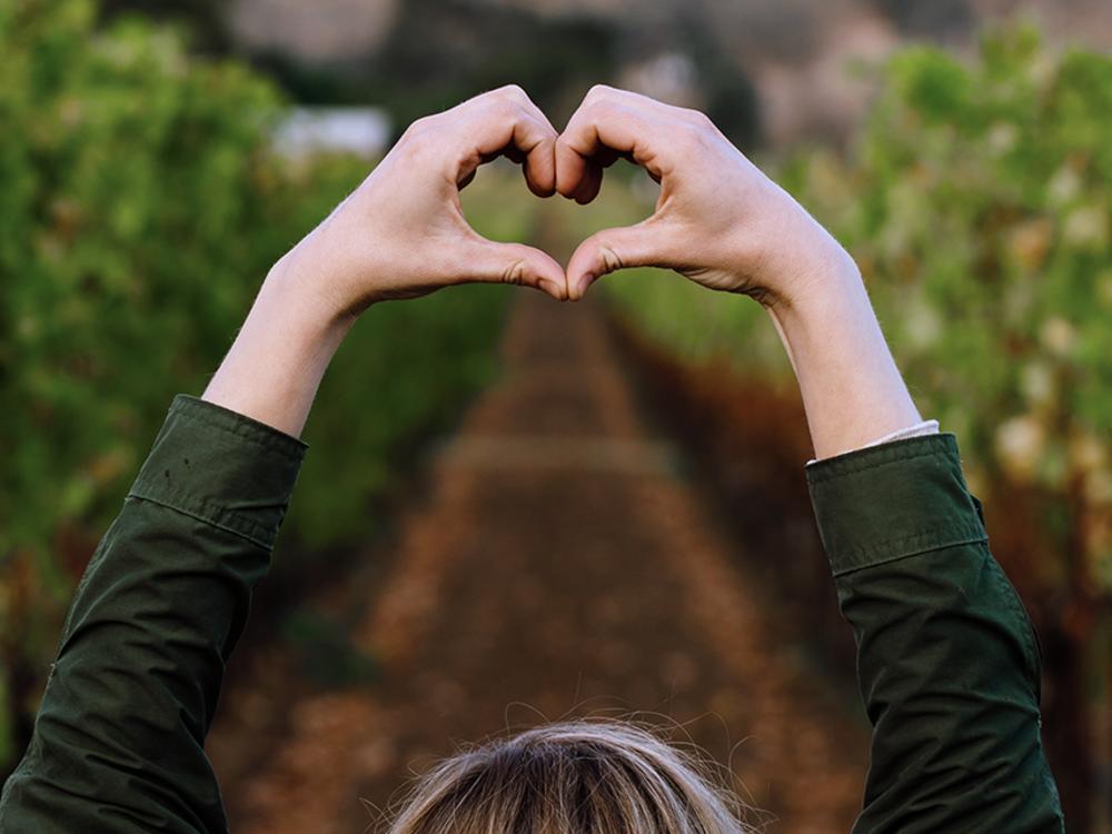Heart Hands Love Napa Valley Vineyards