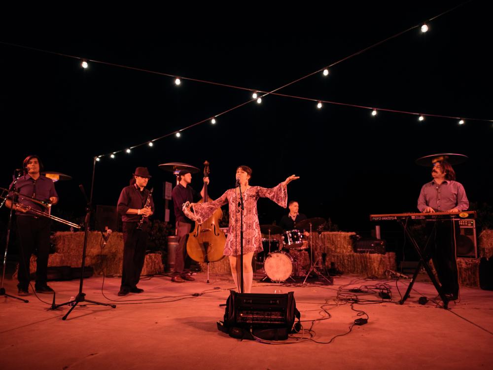 Live Entertainment in the Napa Valley