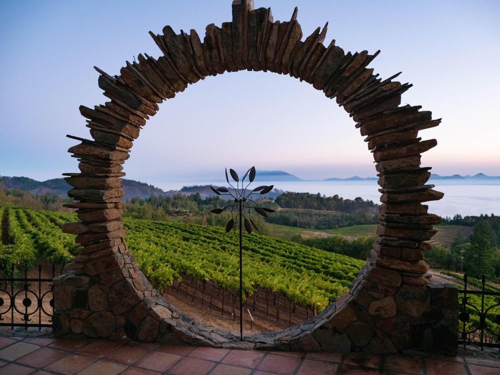 view of a circular sculpture and vineyards at Paloma Vineyards