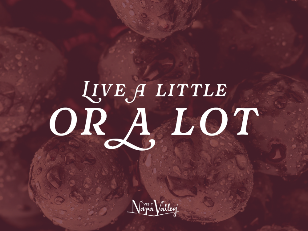 Live a Lot Grapes Wide