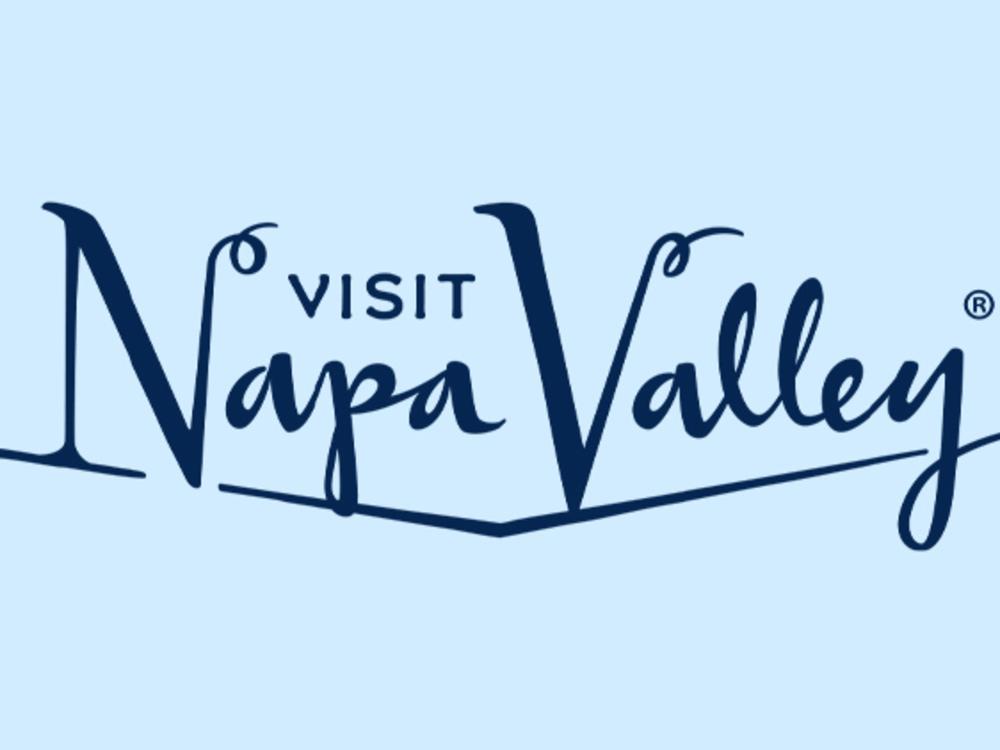 VNV logo card