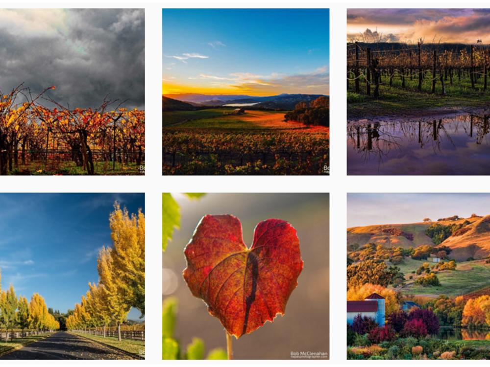 Bob McClenahan: 6 Napa Valley Artists &#038; Photographers to Follow on Instagram