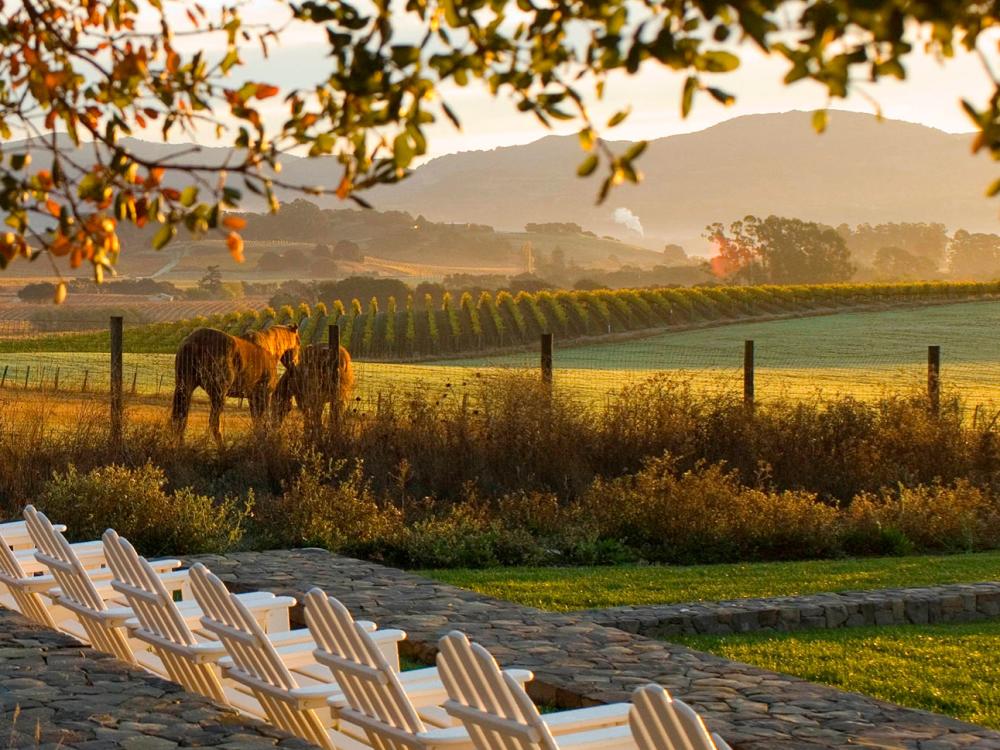 Private Experiences | Socially-Distanced Wine Tasting - The Visit Napa Valley Blog