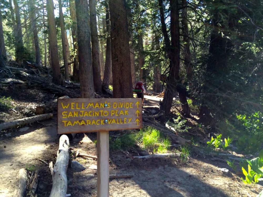 Mount San Jacinto State Park