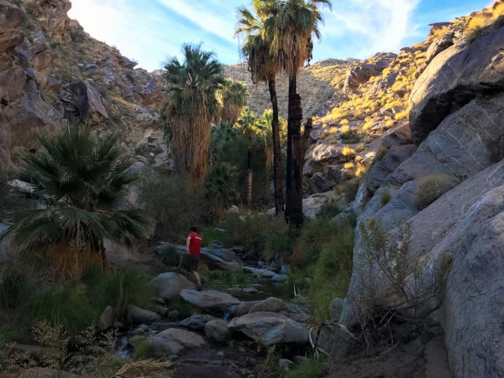 hiking-murray-canyon-credit-Casey-Schreiner