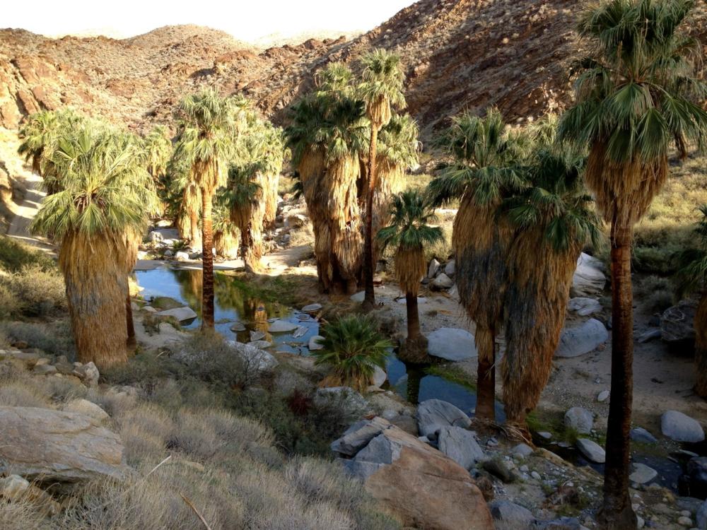 stone pools credit Brian Dearth