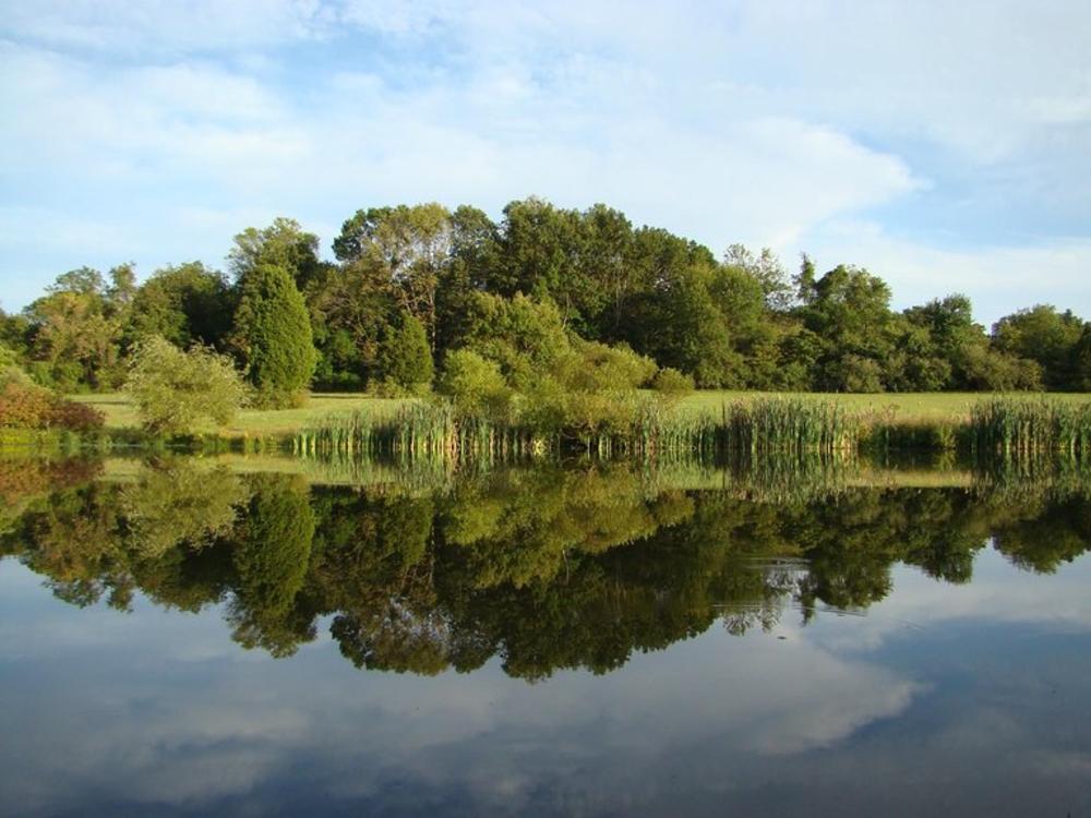 A lake with trees reflected in the water in Rosedale Park