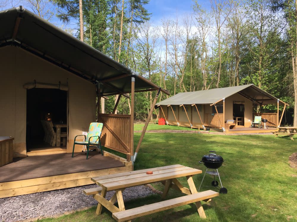 Worth Forest Glamping