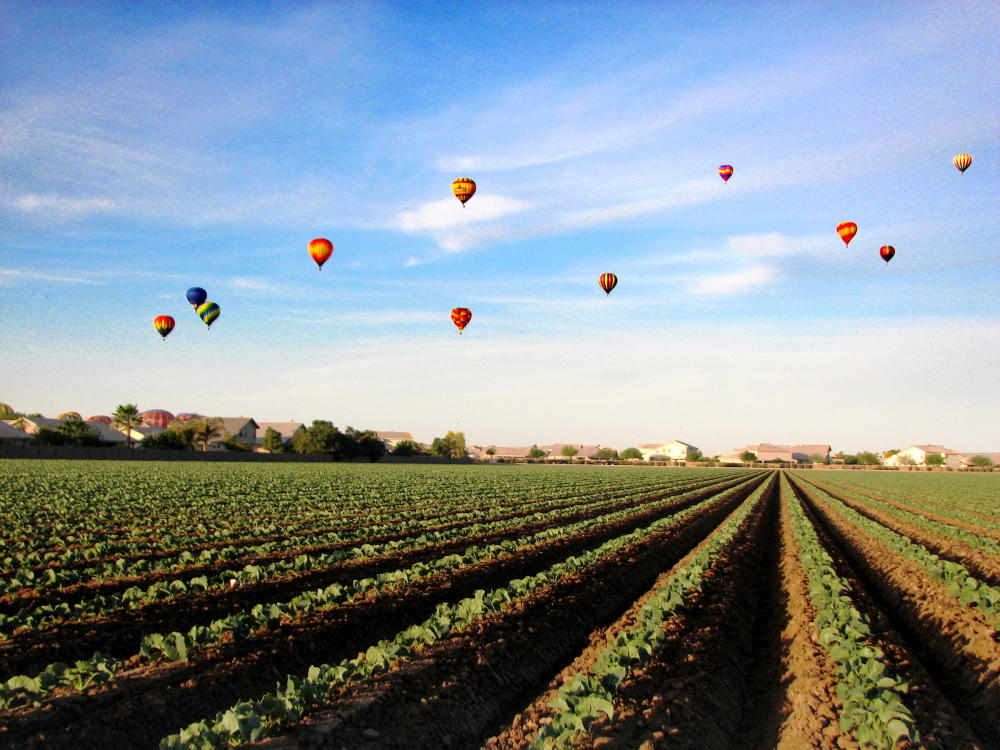 Farm field hot air balloons above