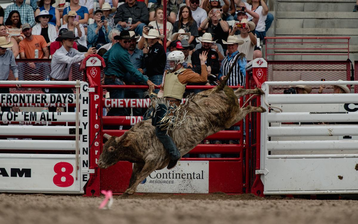 Riding the Bull