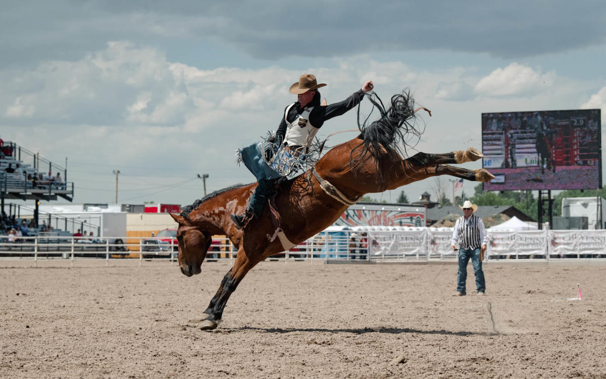 A cowgirl rides a bucking horse bareback during a Cheyenne rodeo.