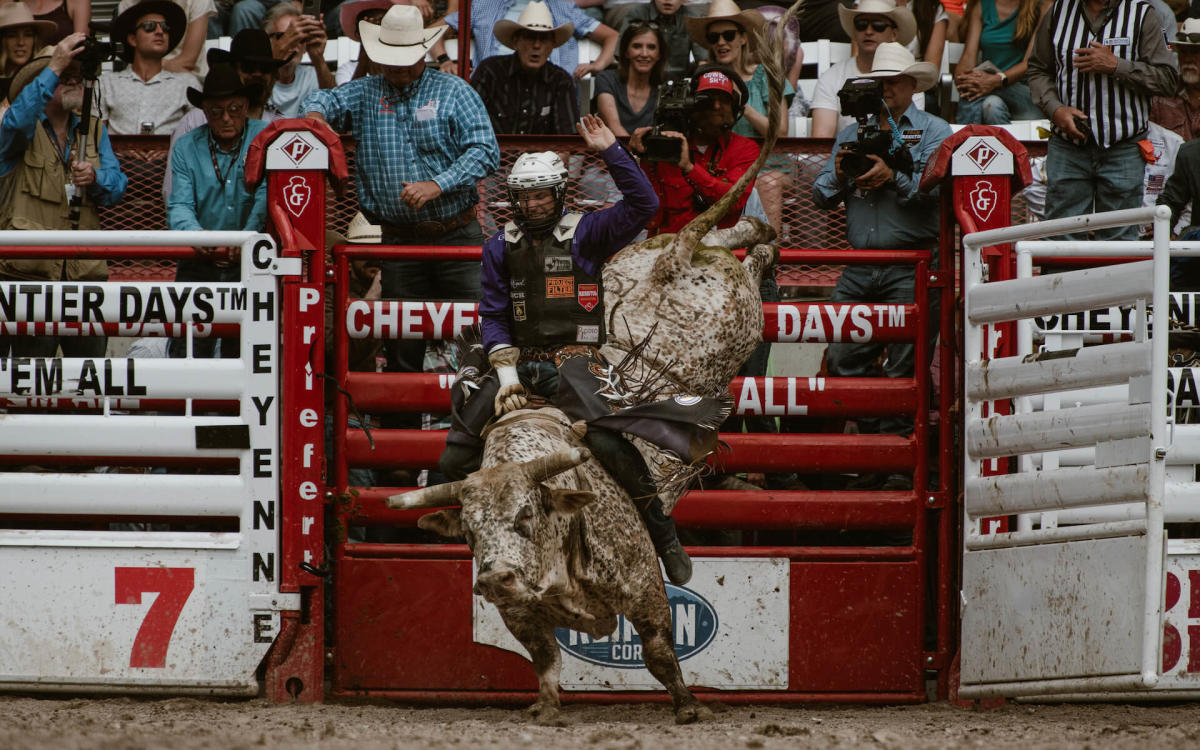 A popular Cheyenne rodeo event, a cowboy rides a bull as the bull's legs kick into the air.