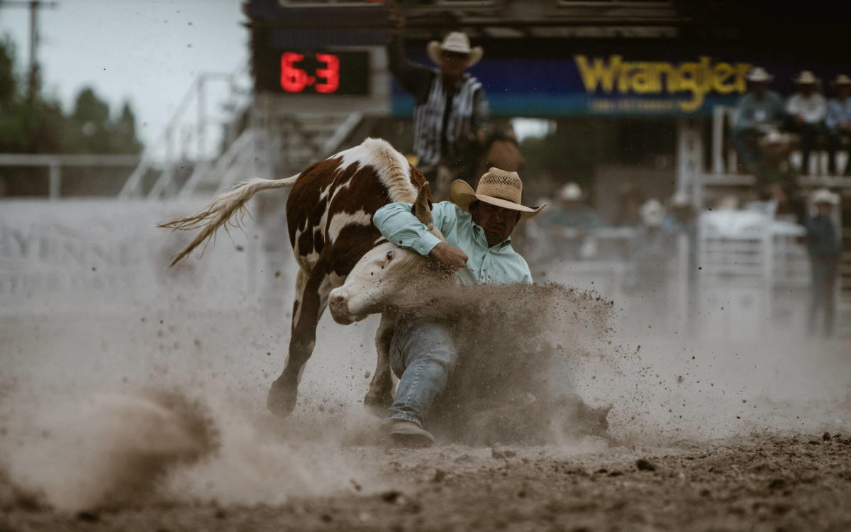 A cowboy grabs the bull by the horns during steer wrestling in a rodeo event.
