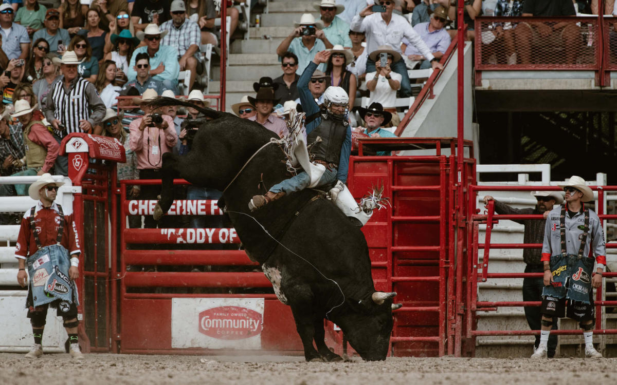 A daring cowboy rides a bucking bull during a Cheyenne Rodeo.