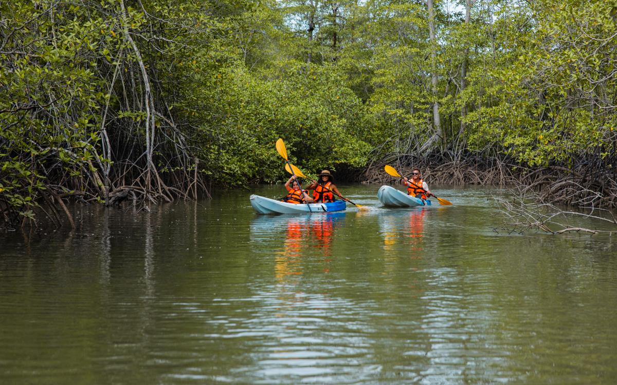 Kayaking at Gulf of Montijo