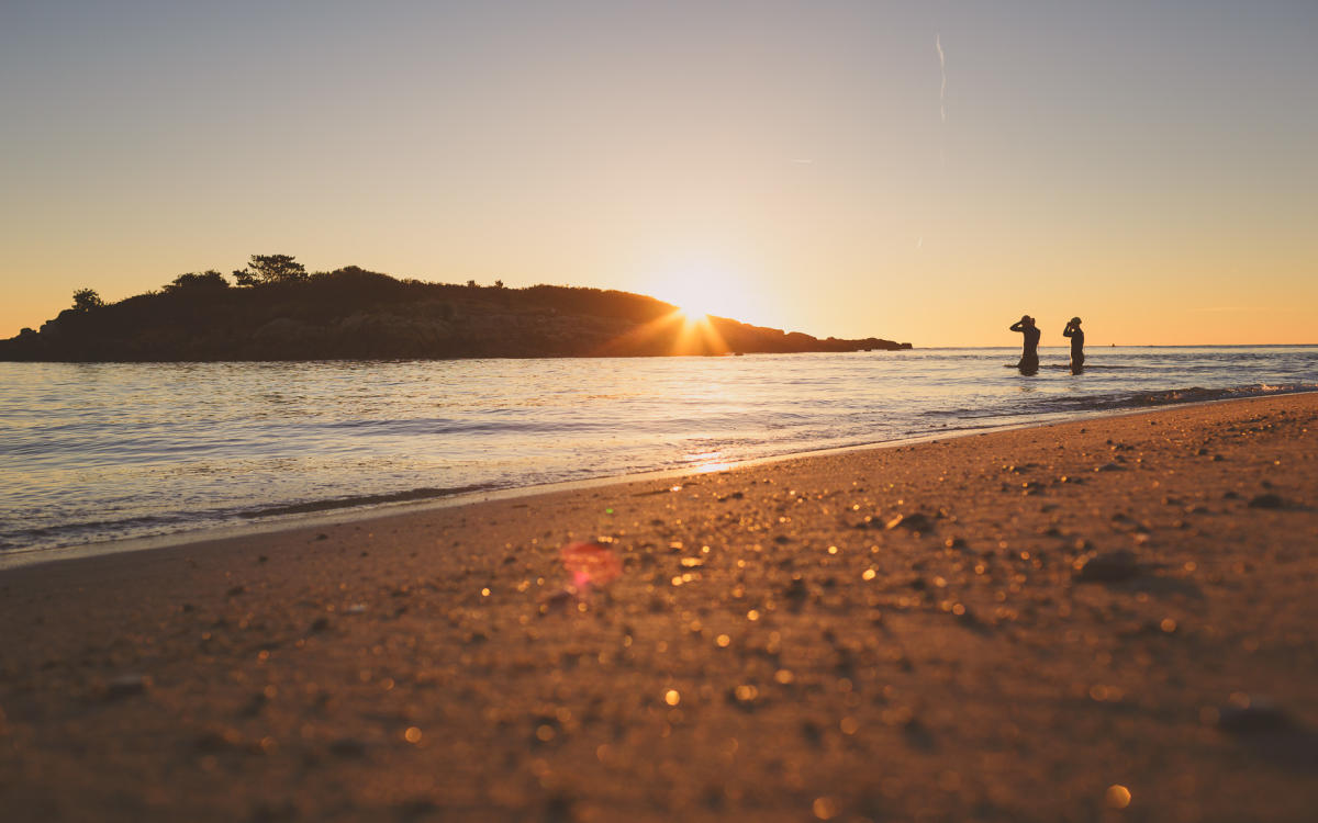 Pelistry Sunrise Swim